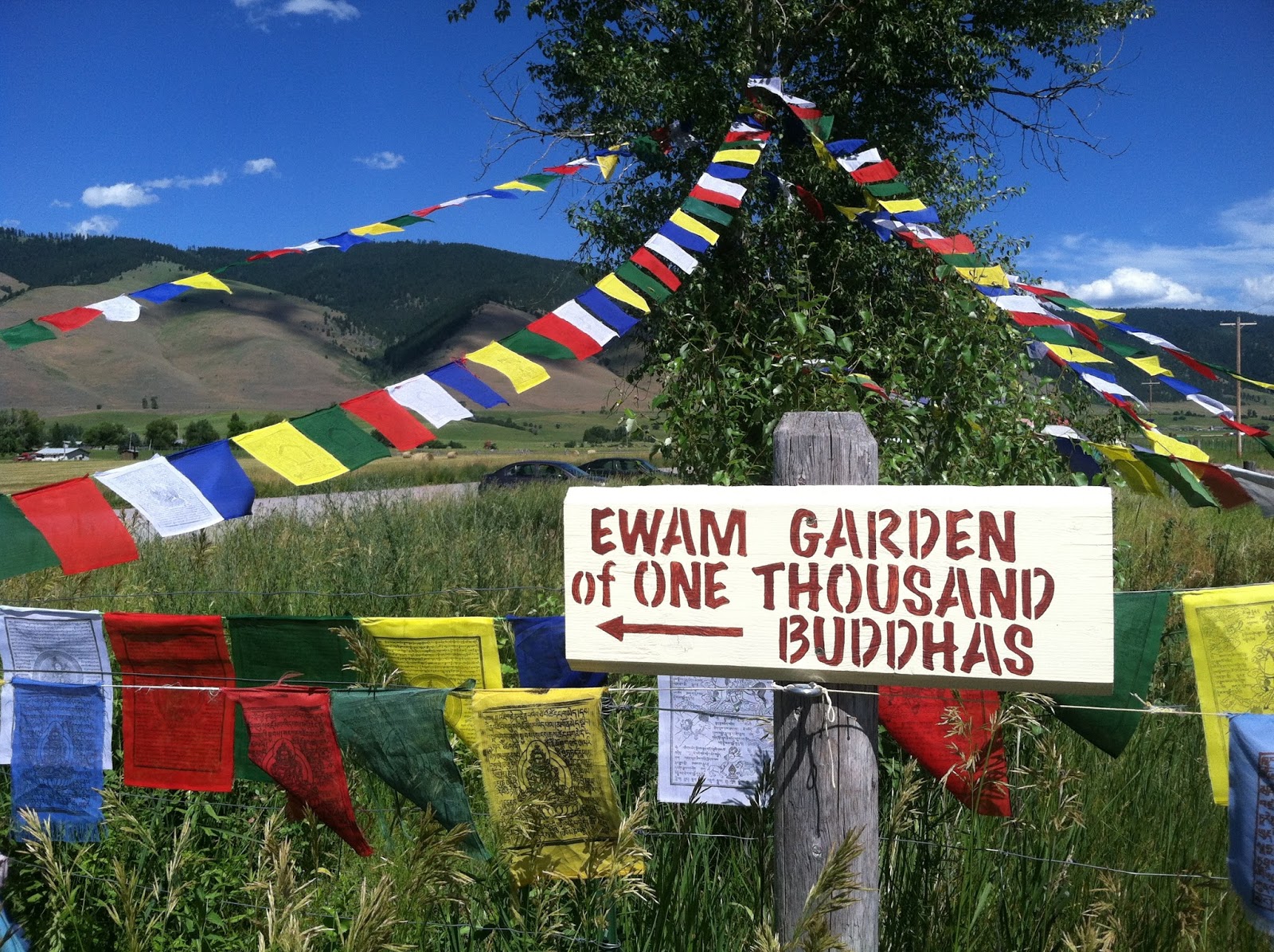 This Is The Story Of A Girl Garden Of 1 000 Buddahs