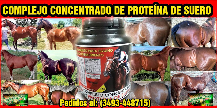 PROTEÍNA DE SUERO