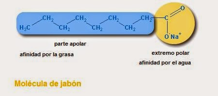 cadena carbonada solubilidad quimica de la vida diaria jabones el jabon cadena carbonada solubilidad quimica de la vida diaria jabones el jabon
