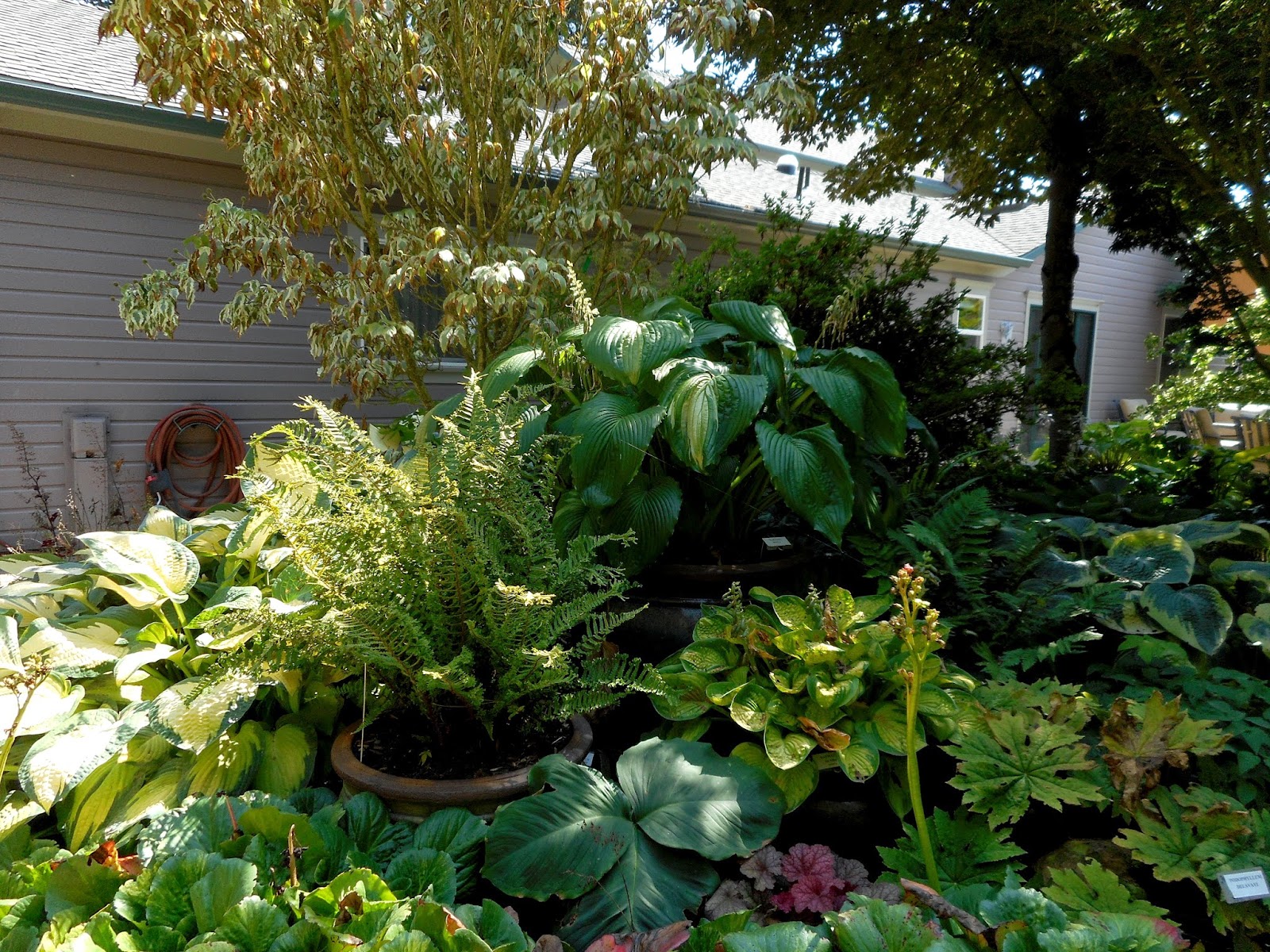 Gardening With Grace Garden Tour Sebright Gardens