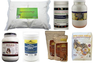 Should I Use Food Grade Diatomaceous Earth On Cats Should I Use Food Grade Diatomaceous Earth On Cats
