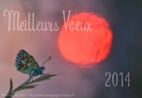 Carte Meilleurs voeux 2014 gratuite à télécharger