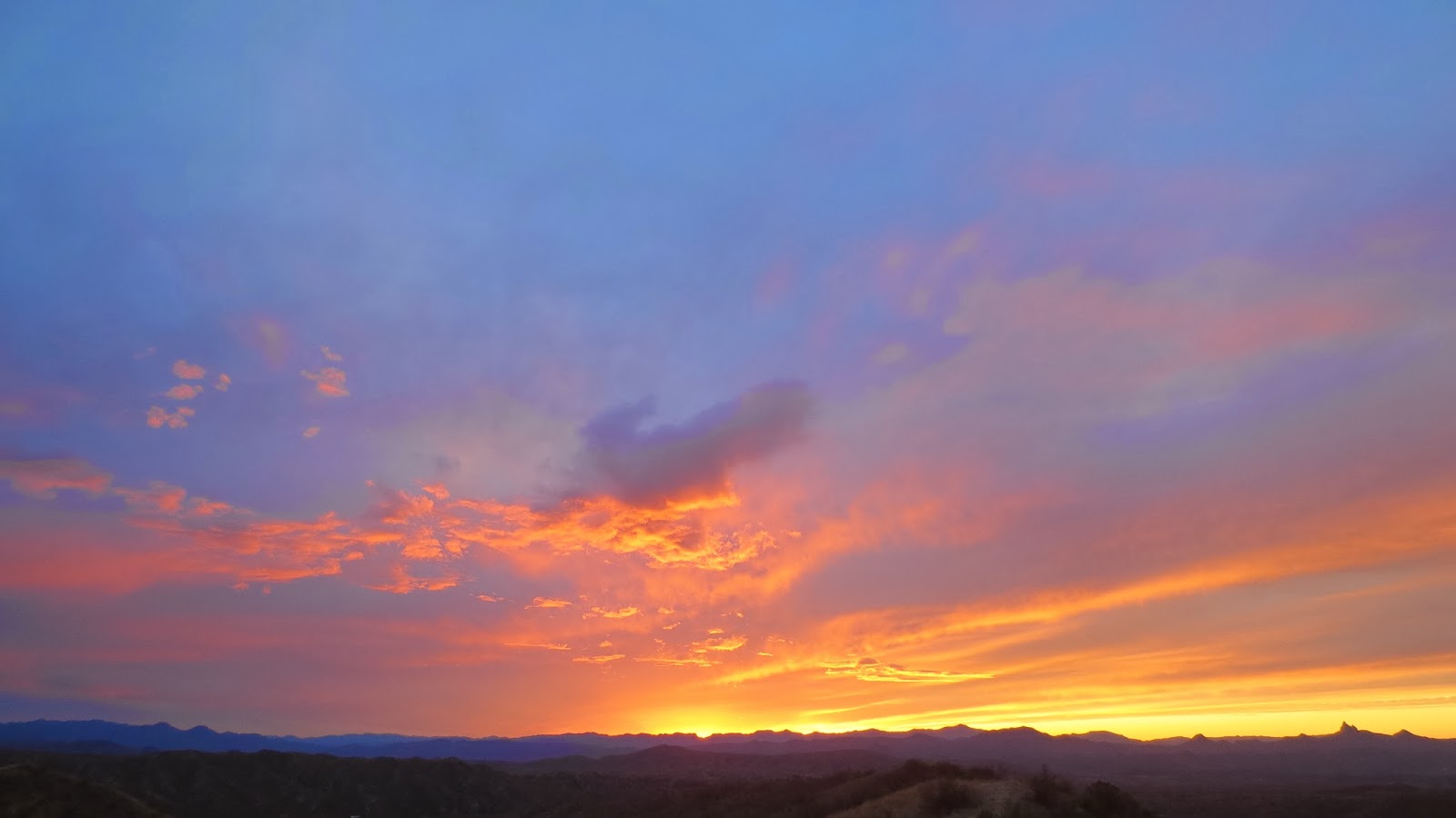 Coues+Deer+Hunt+Photo+and+Pics+with+Colburn+and+Scott+Outfitters+and+Joe+D+Sonora+Mexico+2.JPG
