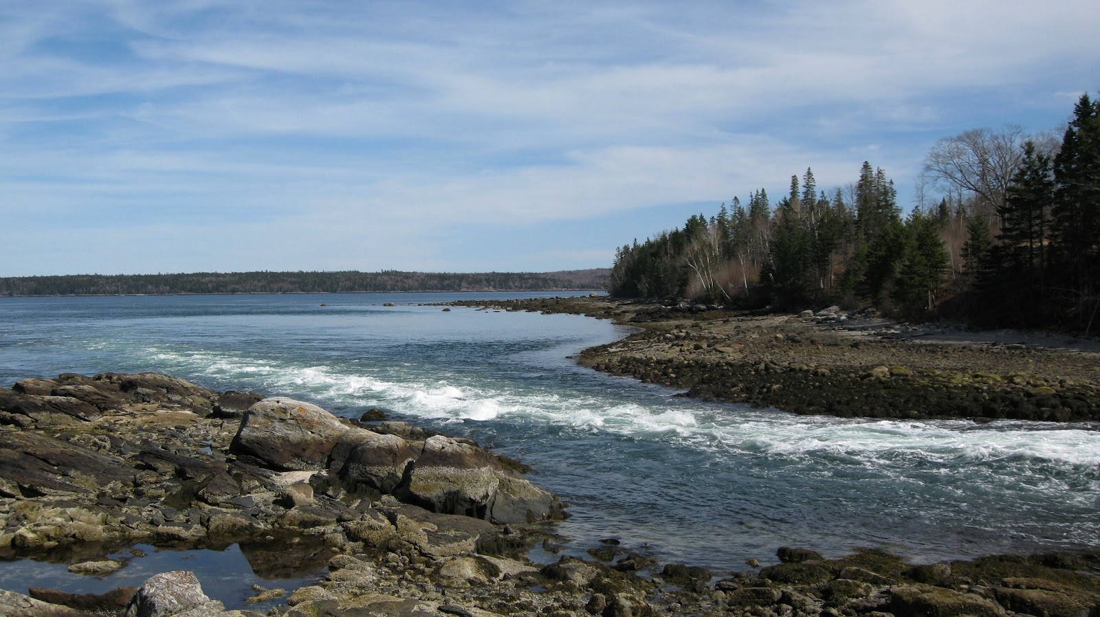 Nosing Around Maine In the Heart of Brooklin, Maine
