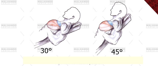 Supino inclinado 30º (com halteres) 