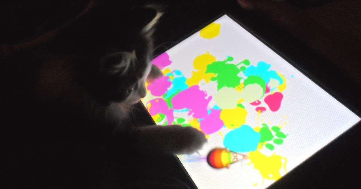Anakin The Two Legged Cat New Photo Ani playing Paint for Cats