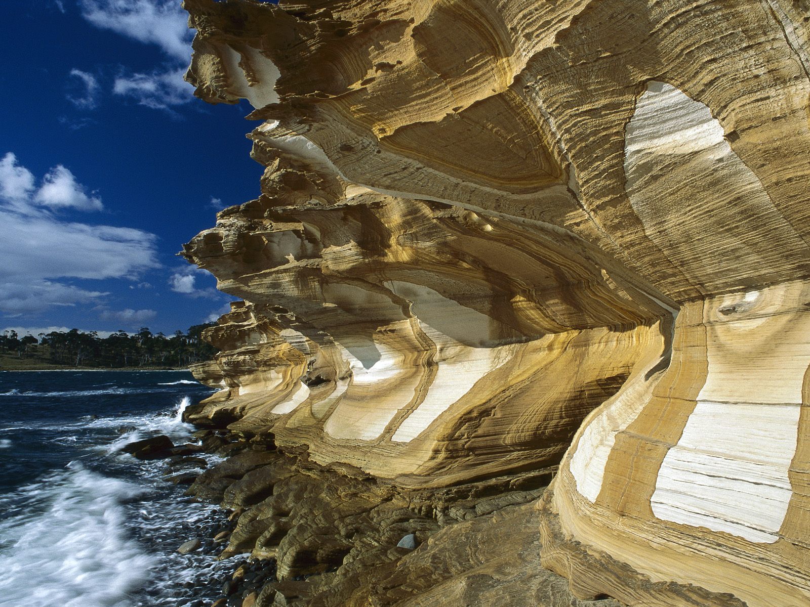 http://4.bp.blogspot.com/-QiWRIJTSwdE/ULc_OIROWeI/AAAAAAAAOHA/HDpLjwBYL4w/s1600/Tasmania%2B(7).jpg