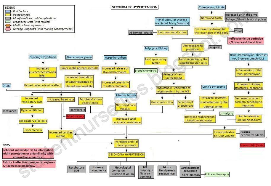 diabetes concept map Patho concept map for diabetes mellitus - nurse find this pin and more on pathophysiology / concept mapping by mcwilliamse type i diabetes is a very severe disease. diabetes concept map Patho concept map for diabetes mellitus - nurse find this pin and more on pathophysiology / concept mapping by mcwilliamse type i diabetes is a very severe disease.