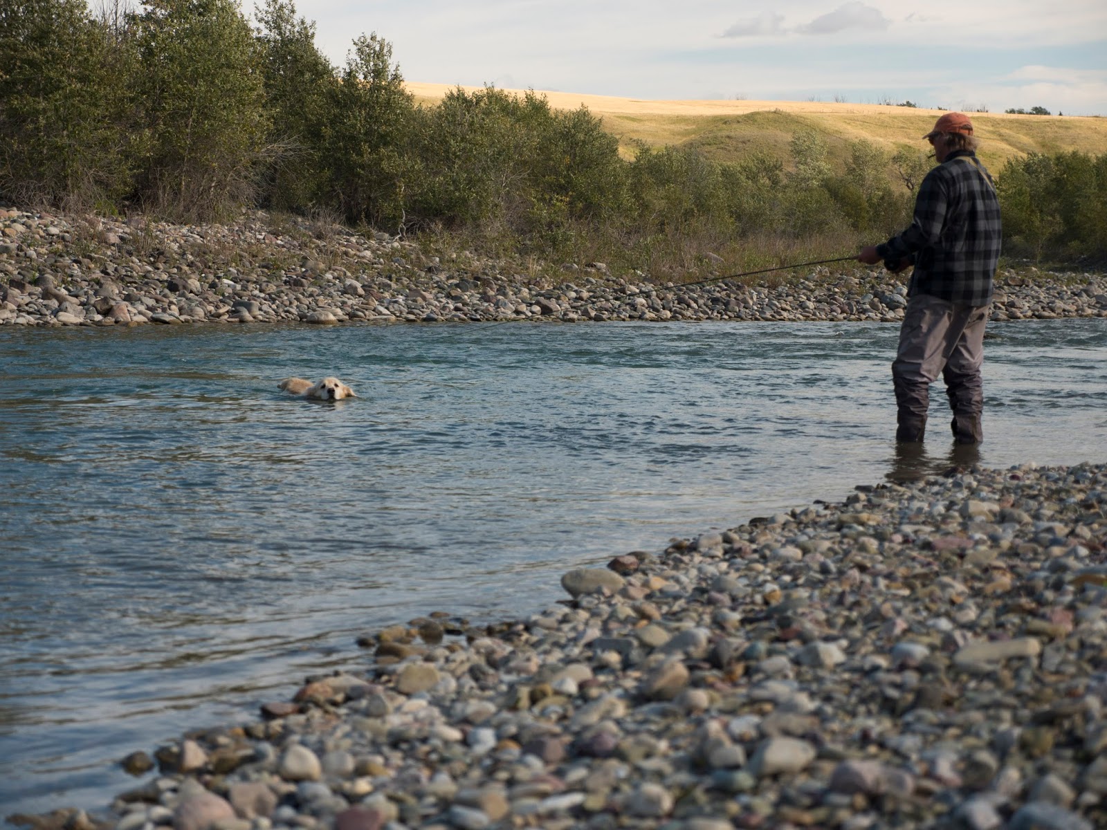 Alberta Fly Fishing