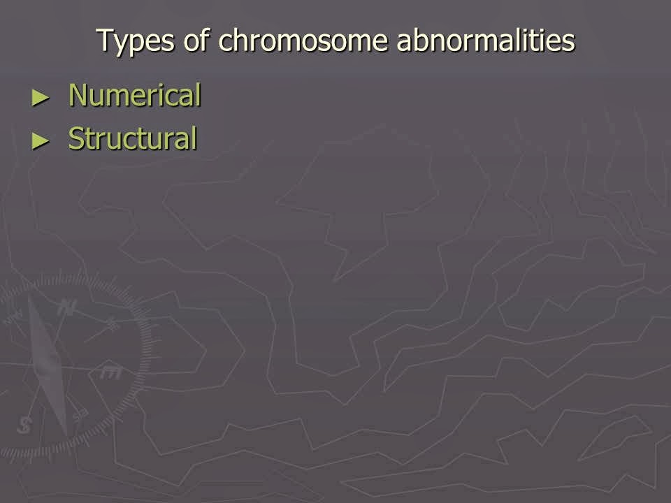 Slide 30