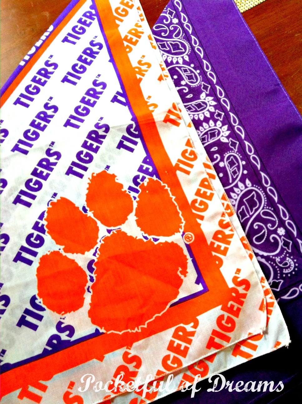 Pocketful Of Dreams Team Spirit Bandana Dress