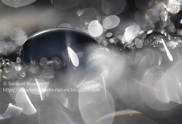 gouttes d'eau et flares bokeh artistique macro
