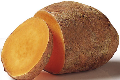 Potato Skin Cancer Drugs Kleci Potentially
