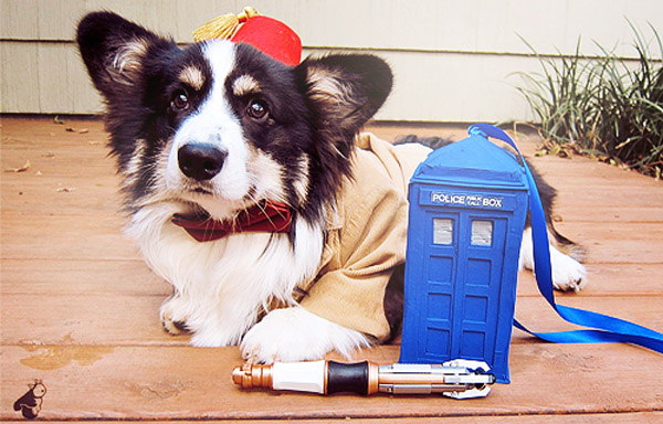 Corgi-Doctor-Who.jpg