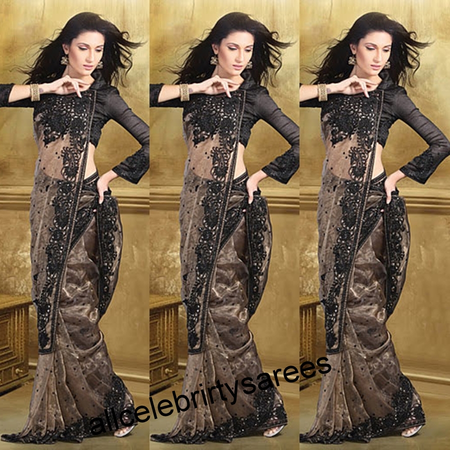 All Celebrities Sarees Designs Celebrity in cream color glass tissue saree with designer full