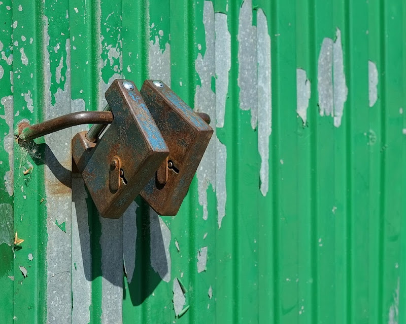 Fujifilm X-E1 + XF 60 Macro a 60 (90) mm • ISO 200 • 1/350 • f/7,1