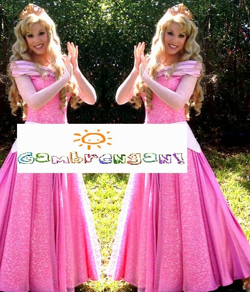 sewa baju princess karakter aurora