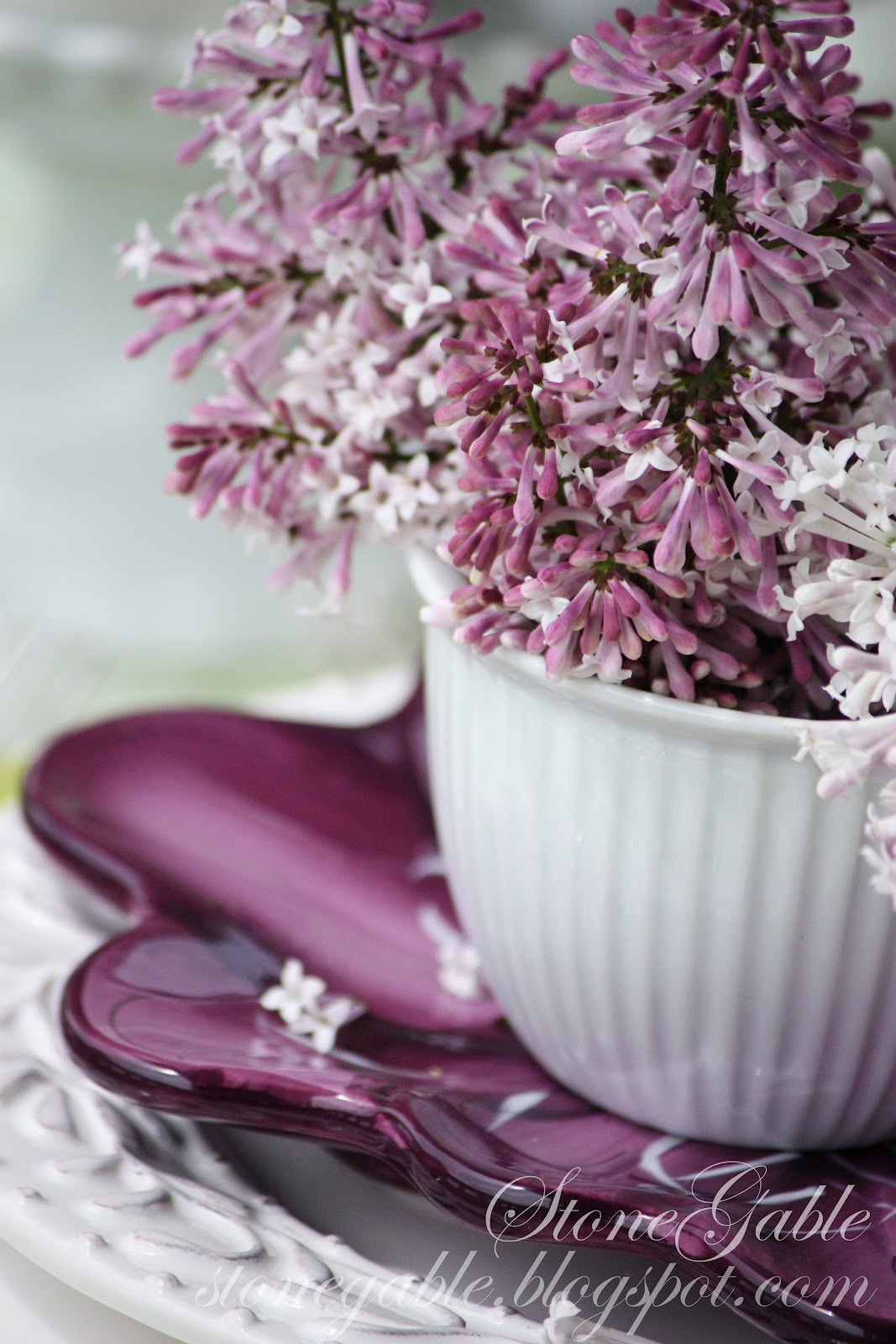 Viburnum Vs Lilac Take A Stand