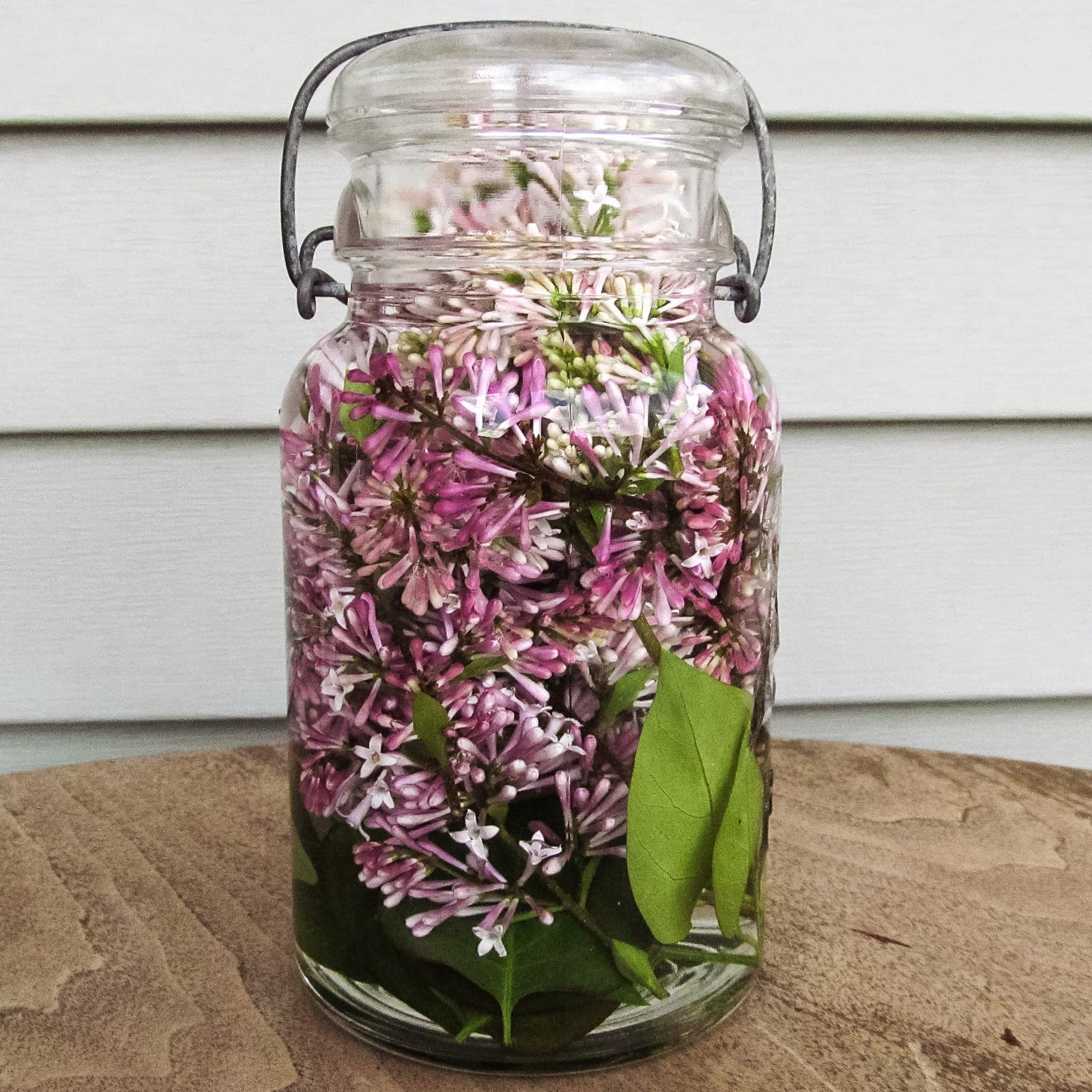 Lilacs in Jars Muslin and Merlot