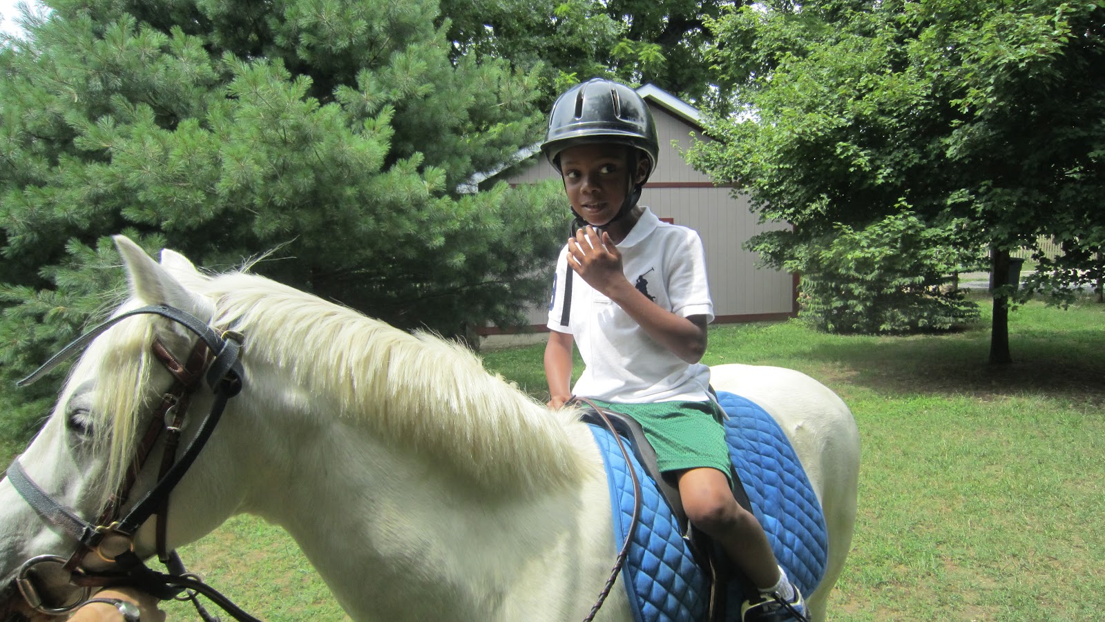 Snapshot Wife Pet Store & Horseback Riding
