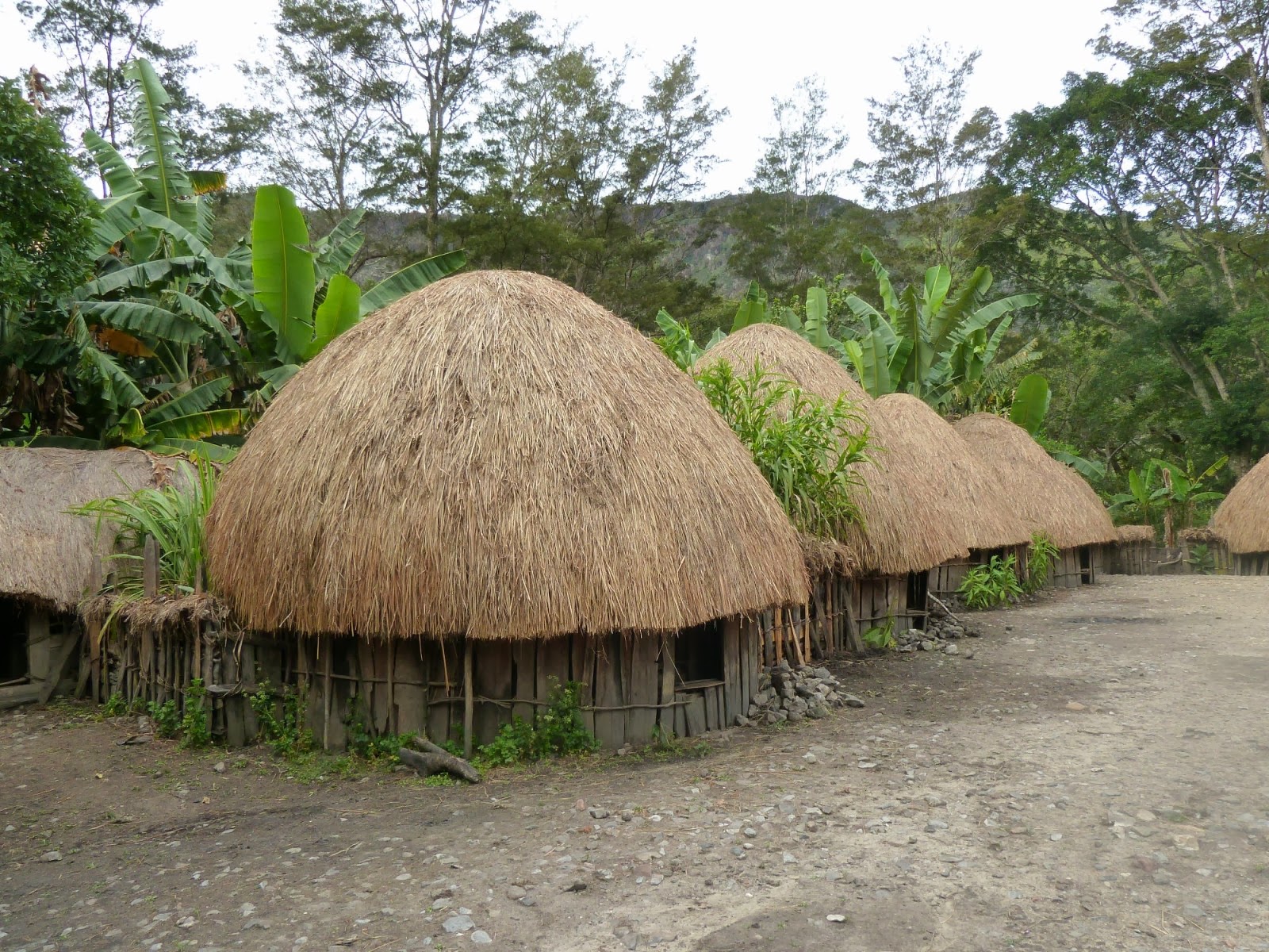 Honai traditional House Papua Unique Exotic Funny and More