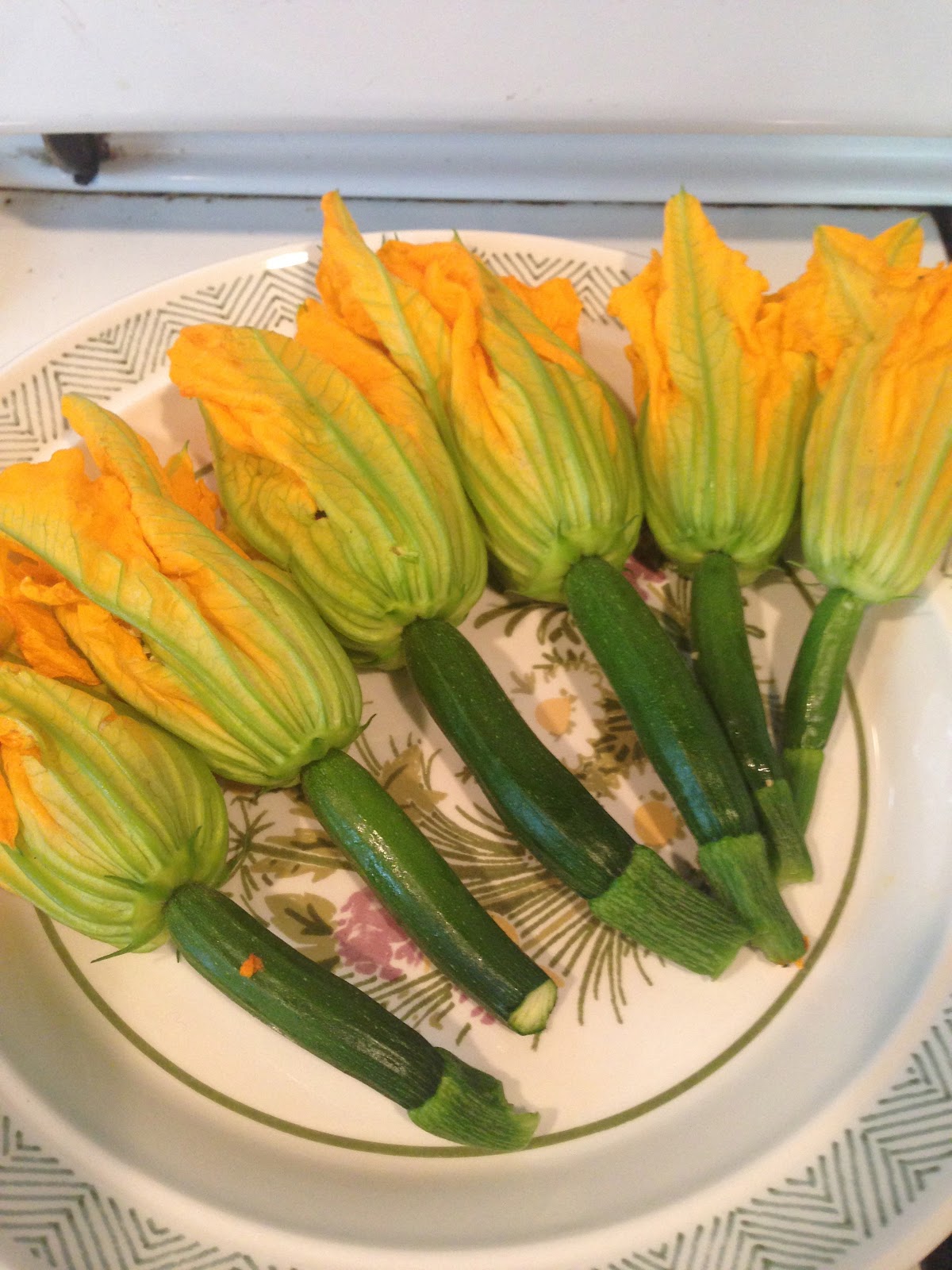 Robin's Write Living: Flor de Calabaza