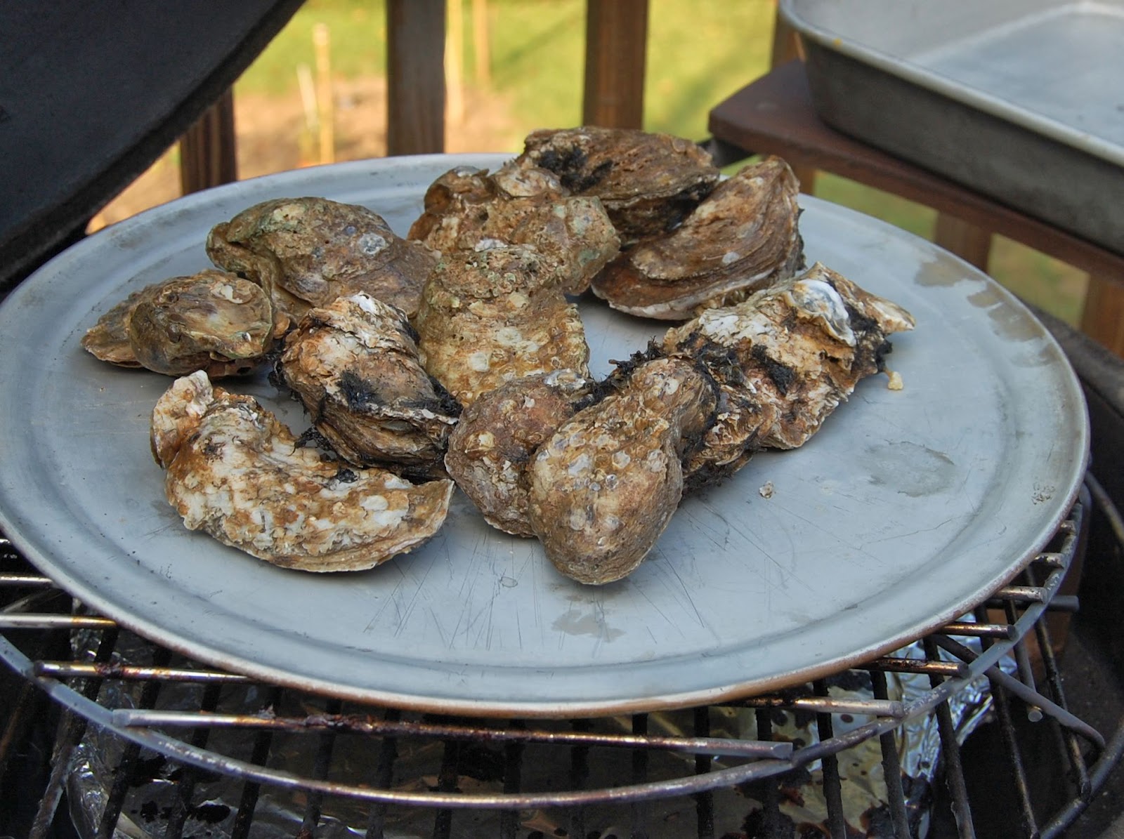 Grilled Oysters with Chipotle Chermoula