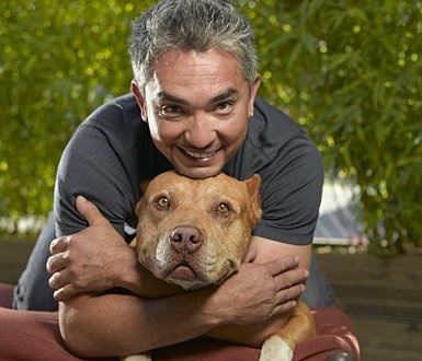 cesar millan family. Cesar Millan. ###########