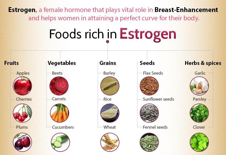 Your Spanish Recipes Foods rich in Estrogen
