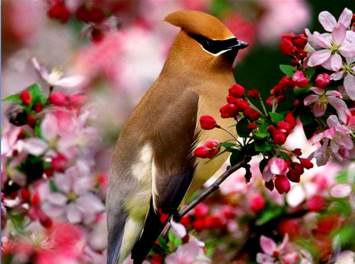 Beautiful Natural Images