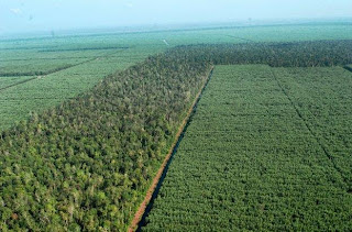 Hutan Taman Industri Hutan Taman Industri