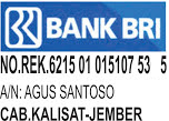 TRANSFER BANK BRI