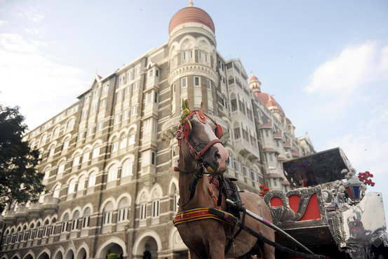 Animal Rights India: January 2012