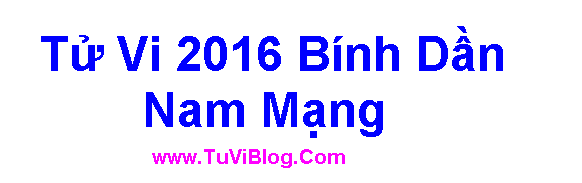 Tu Vi Binh Dan Nam Mang 2016