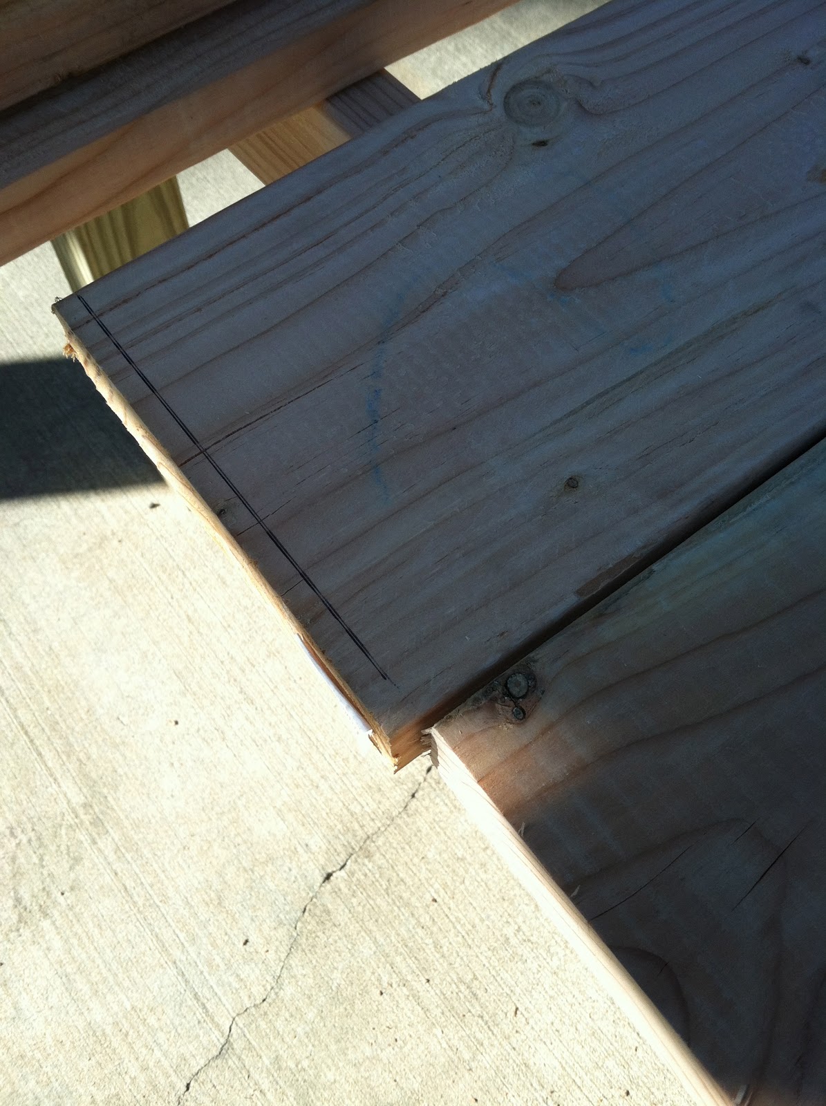pine tree home building