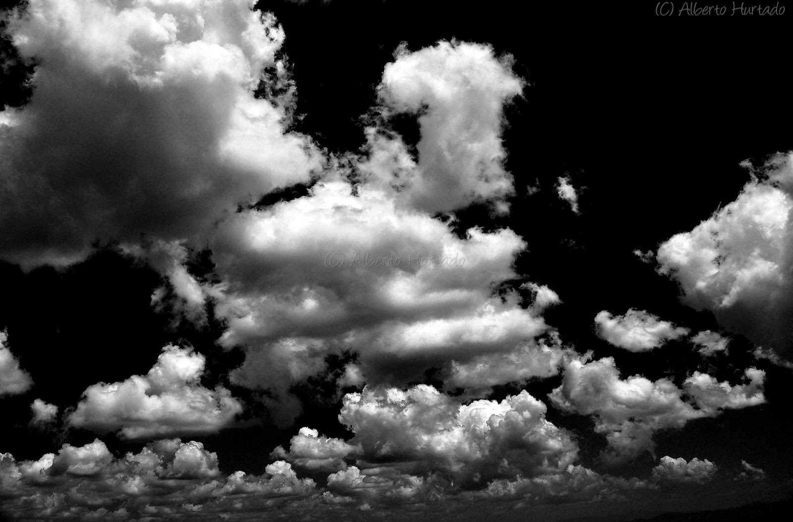 Fotografía de Naturaleza: Blanco y negro