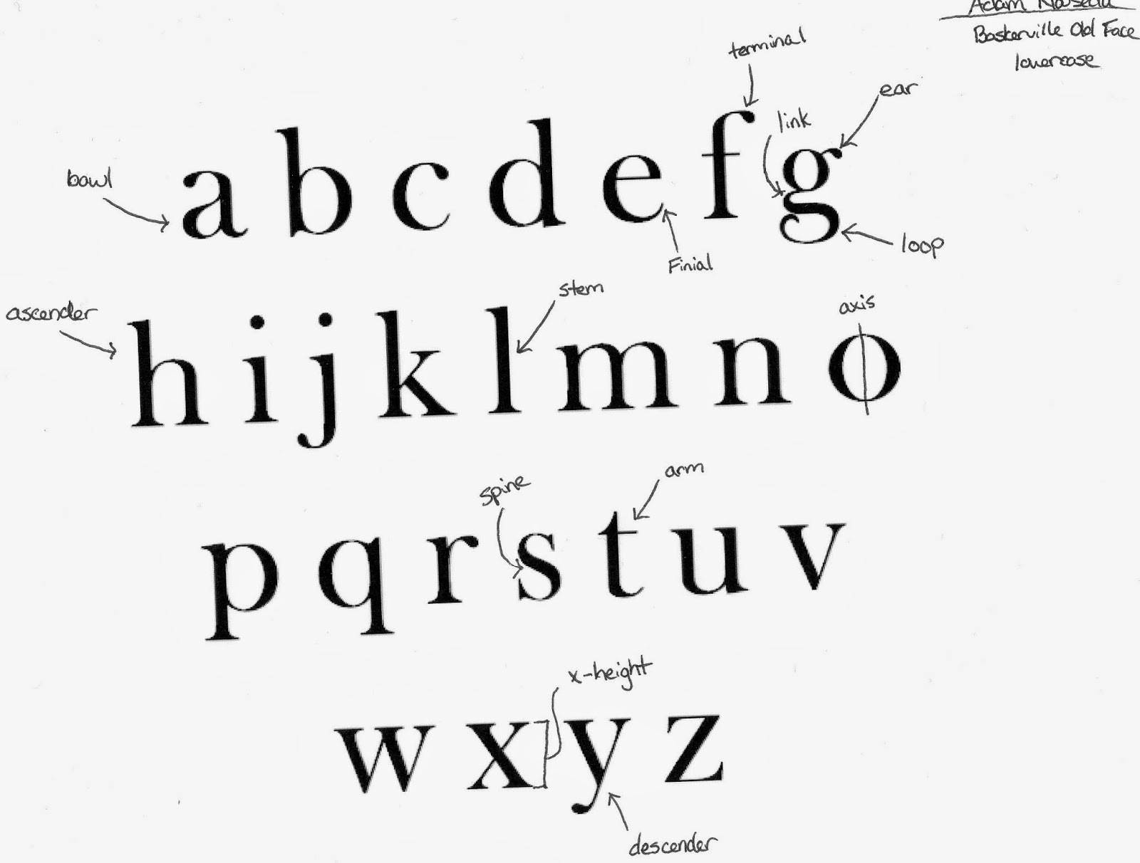 Download Typographywinter2014 Type Anatomy Nauseda SVG Cut Files