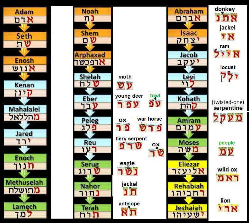 Animals Research: Animal Names