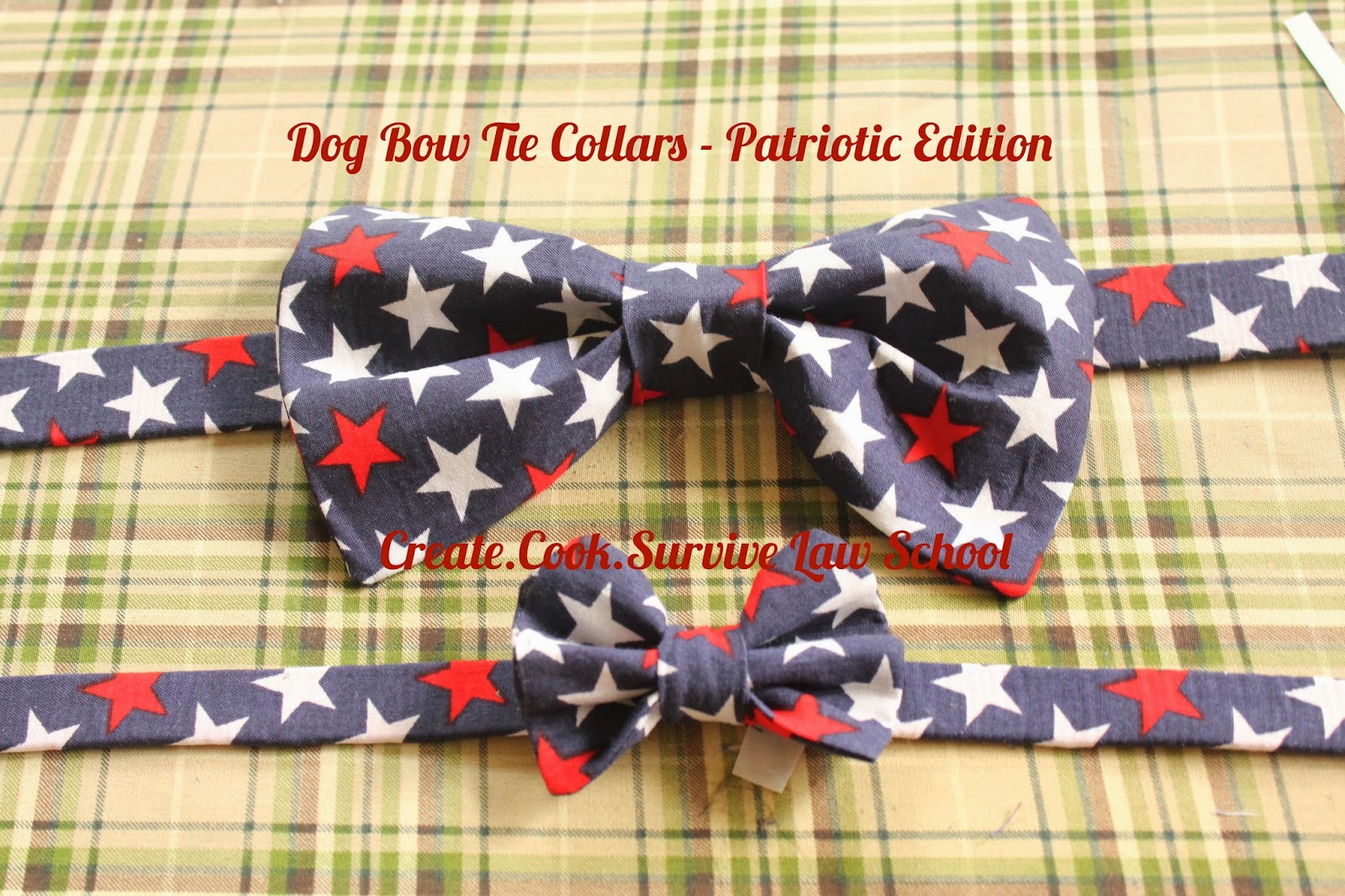 Create. Cook. Survive Law School. Make Something Dog BowTie Collars