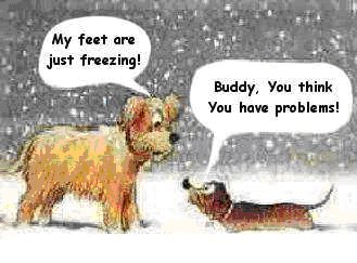 funny-dog-cartoon-freezing.jpg