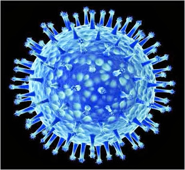 Interesting data: are viruses living?
