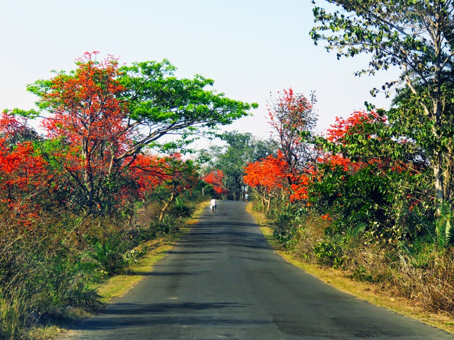 wanderlust SUSUNIA HILL BANKURA; IN THE LAP OF NATURE