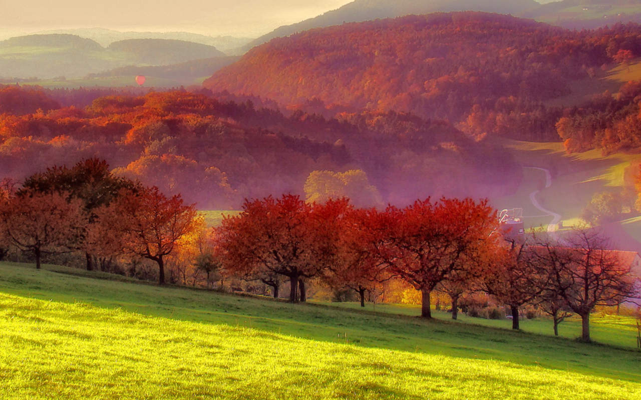 Wallpaper Pocket - Desktop Wallpaper | Handphone Wallpaper | Twiiter