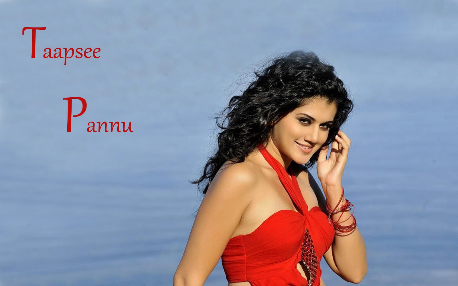 Taapsee Pannu Hot and Sexy Bollywood and Telugu Actress HD Wallpapers