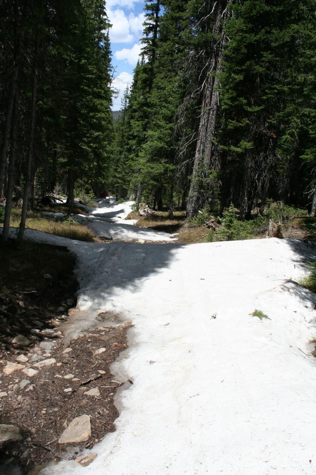 The Hiker French Gulch Hike