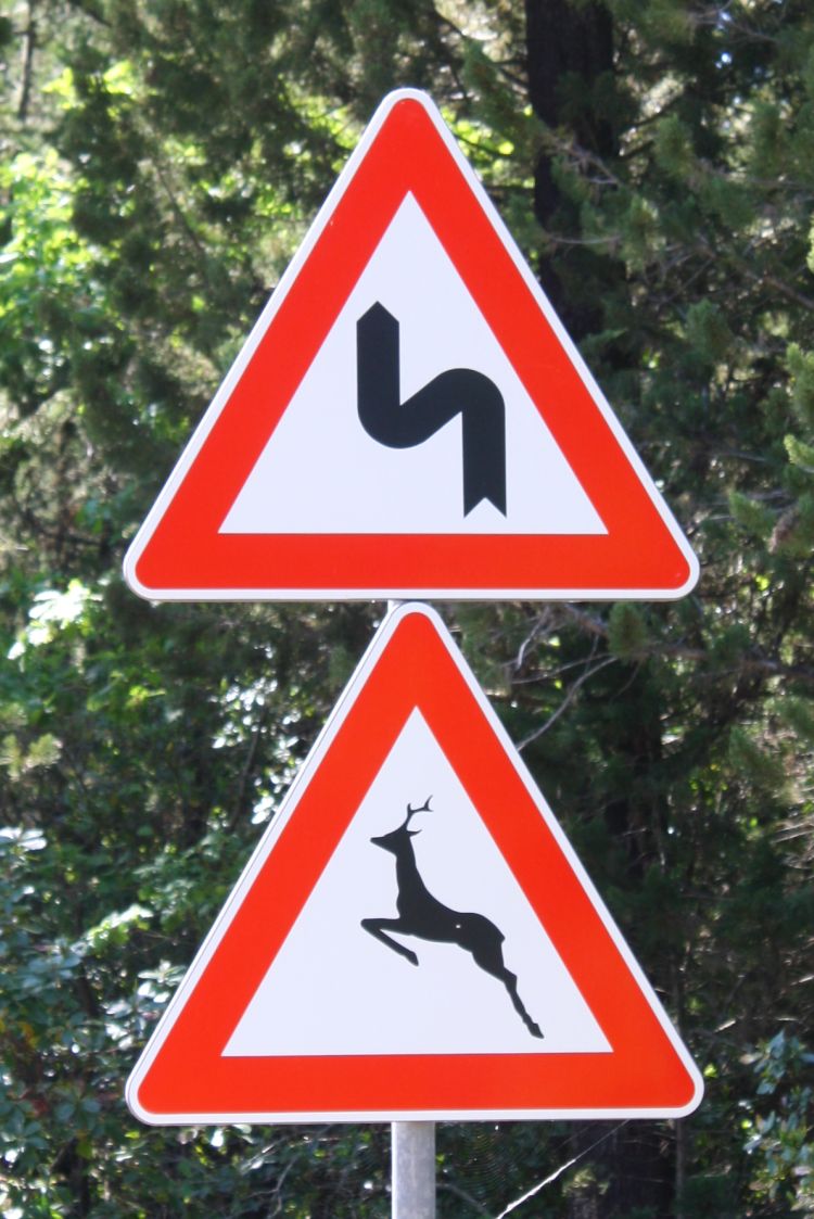 Deer Road Sign