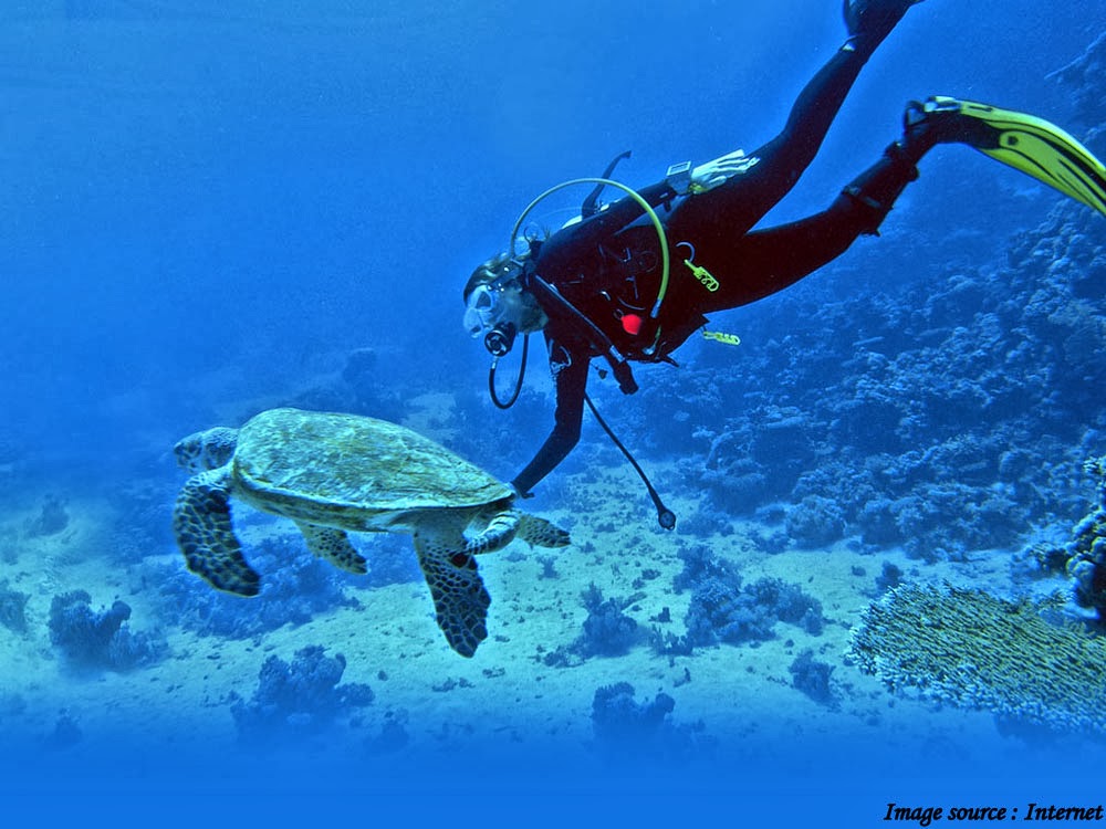 Scuba Diving at Malvan