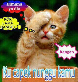 Kata Kata Sakit Hati 2013 Terbaru