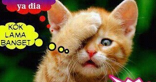 Kata Kata Lucu Status Fb Pendek Kata-Kata SMS Kata Kata Lucu Status Fb Pendek Kata-Kata SMS