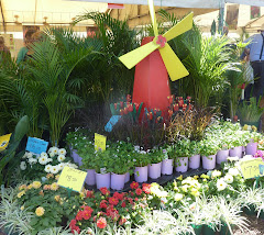 Flower displays